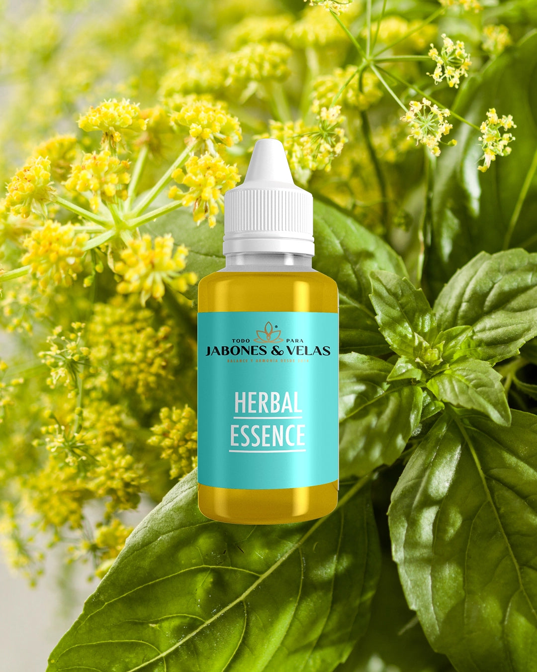 Herbal Essence | Fragancia para jabones