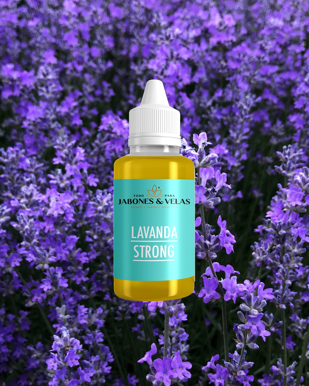 Lavanda Strong | Fragancia para jabones