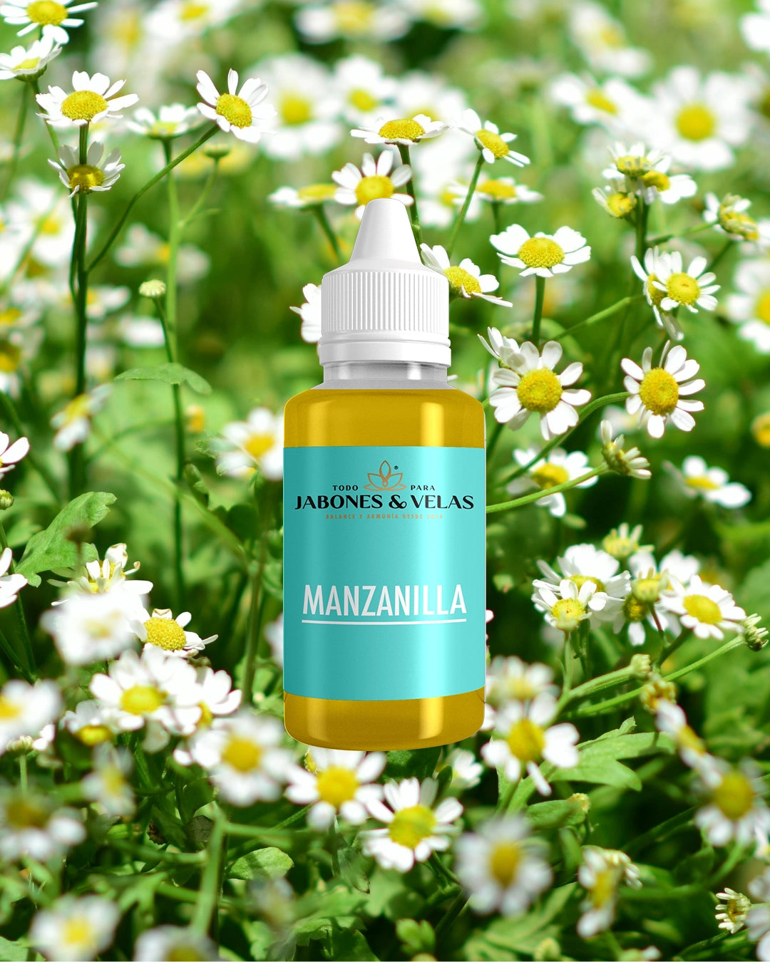 Manzanilla | Fragancia para jabones