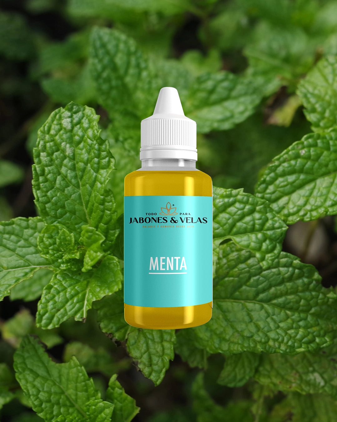 Menta | Fragancia para jabones