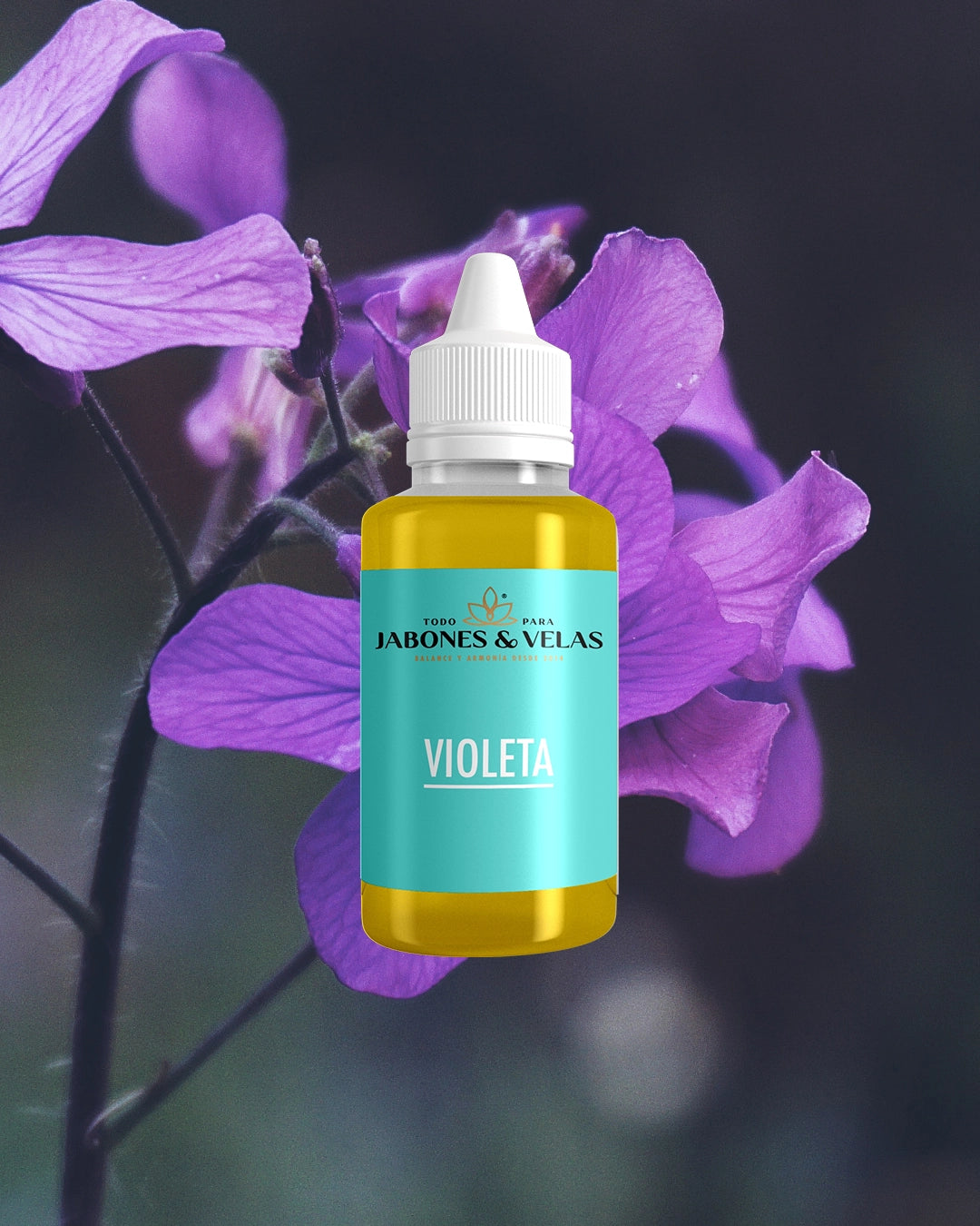 Violetas | Fragancia para jabones
