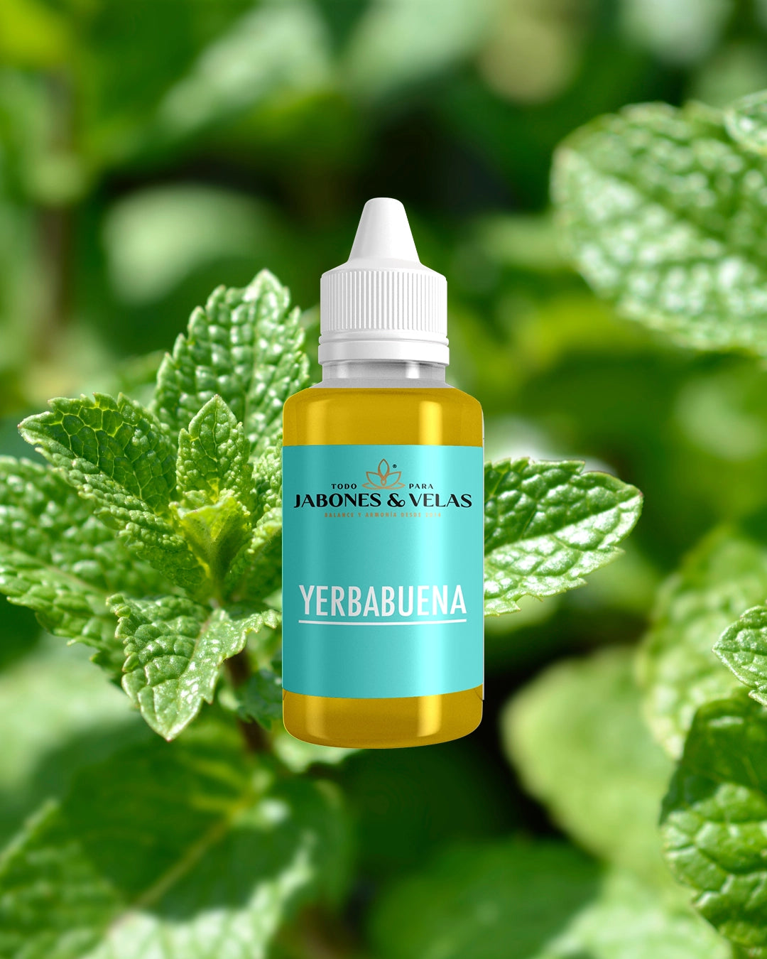 Yerbabuena | Fragancia para jabones