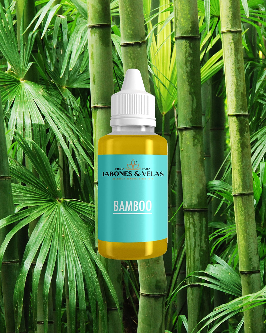 Bamboo | Fragancia para velas