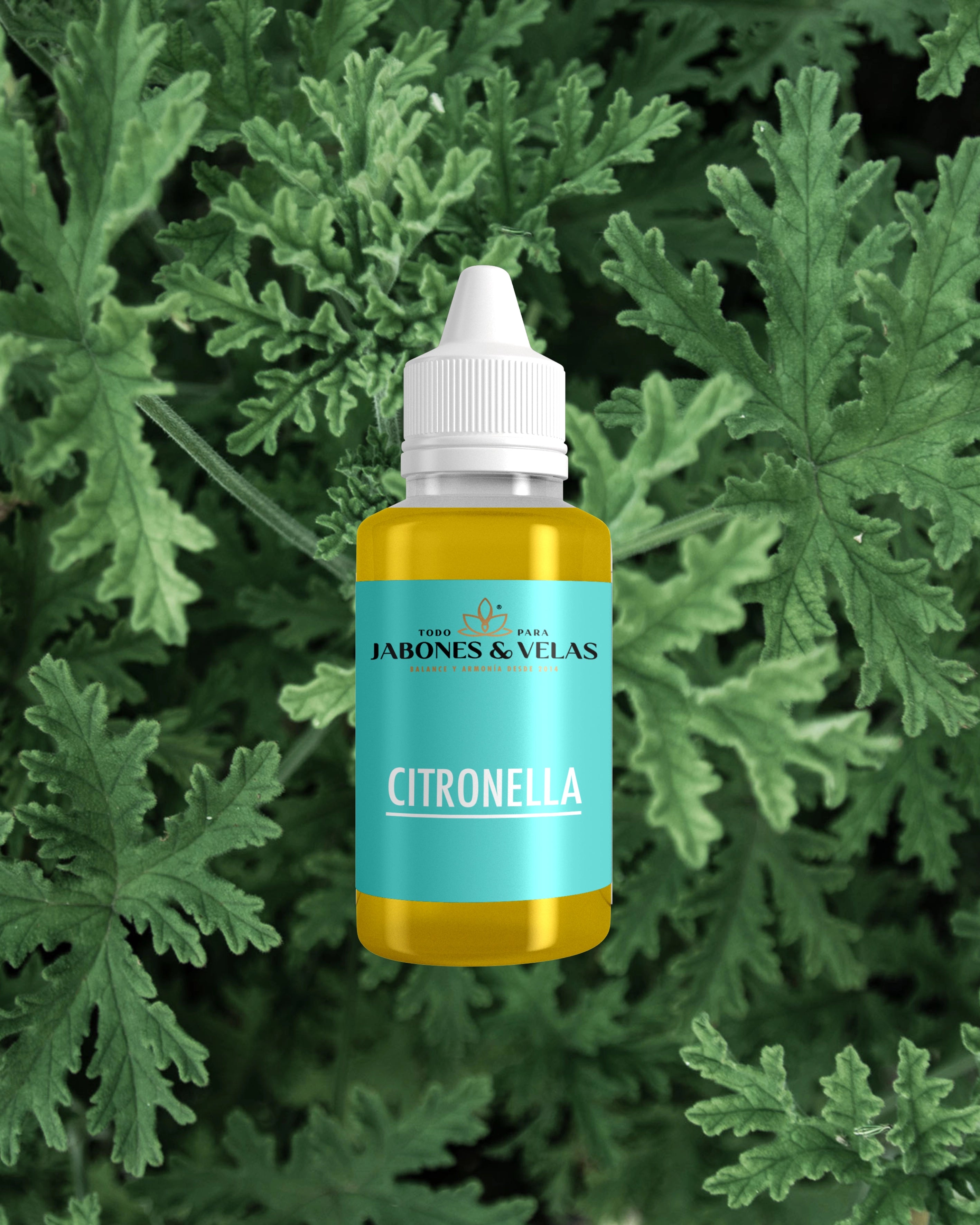 Citronella | Fragancia para velas