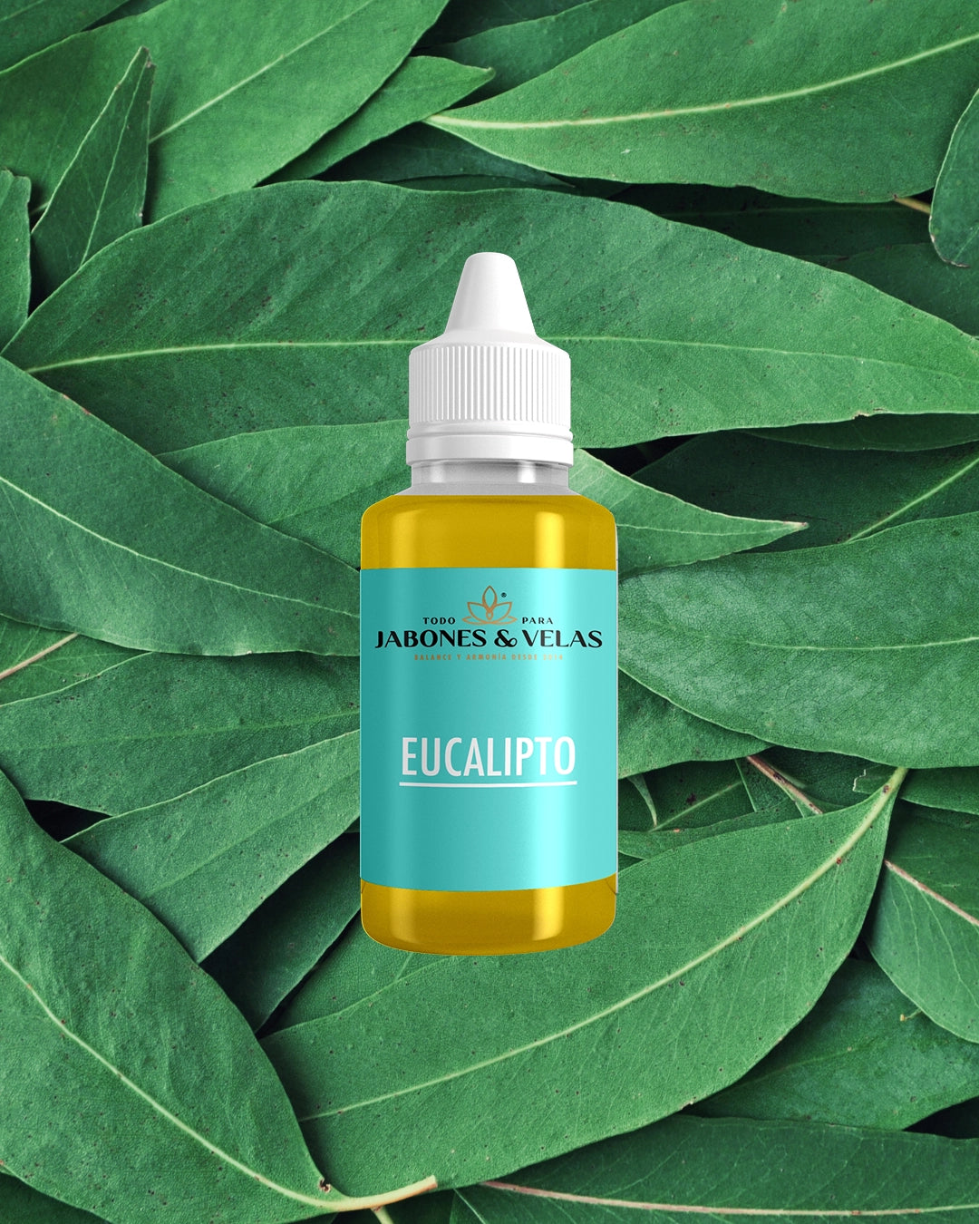 Eucalipto | Fragancia para velas