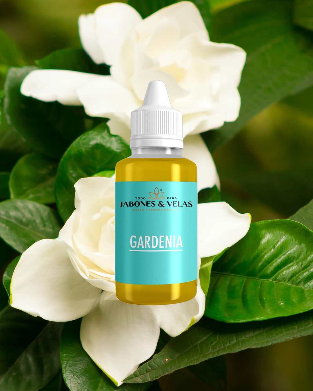 Florales - Fragancia para velas - 5 muestras de 20 ml c/u