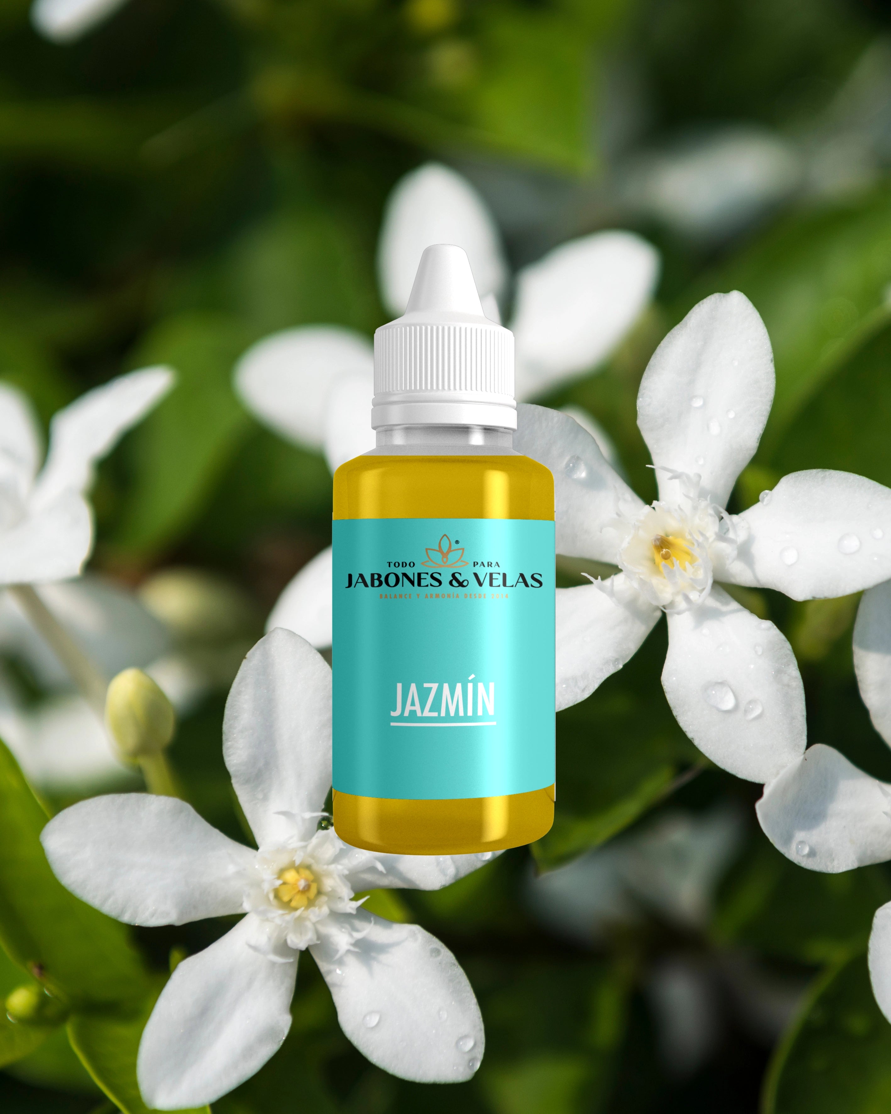 Jazmín | Fragancia para velas