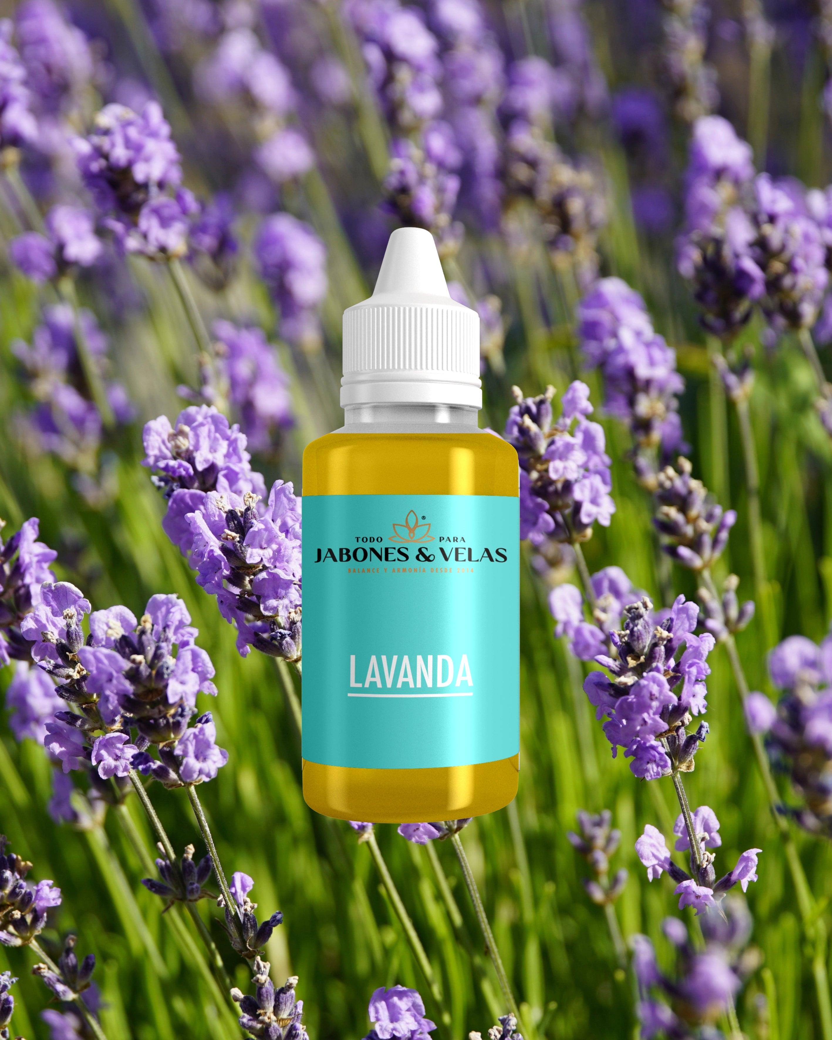 Lavanda | Fragancia para velas