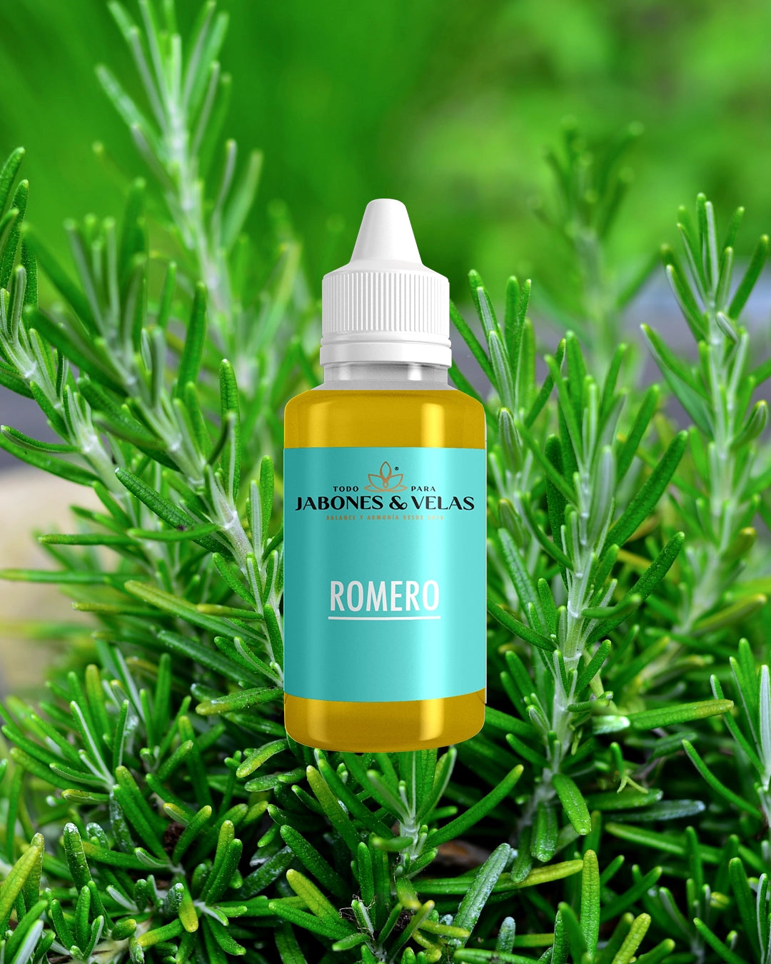 Romero | Fragancia para velas