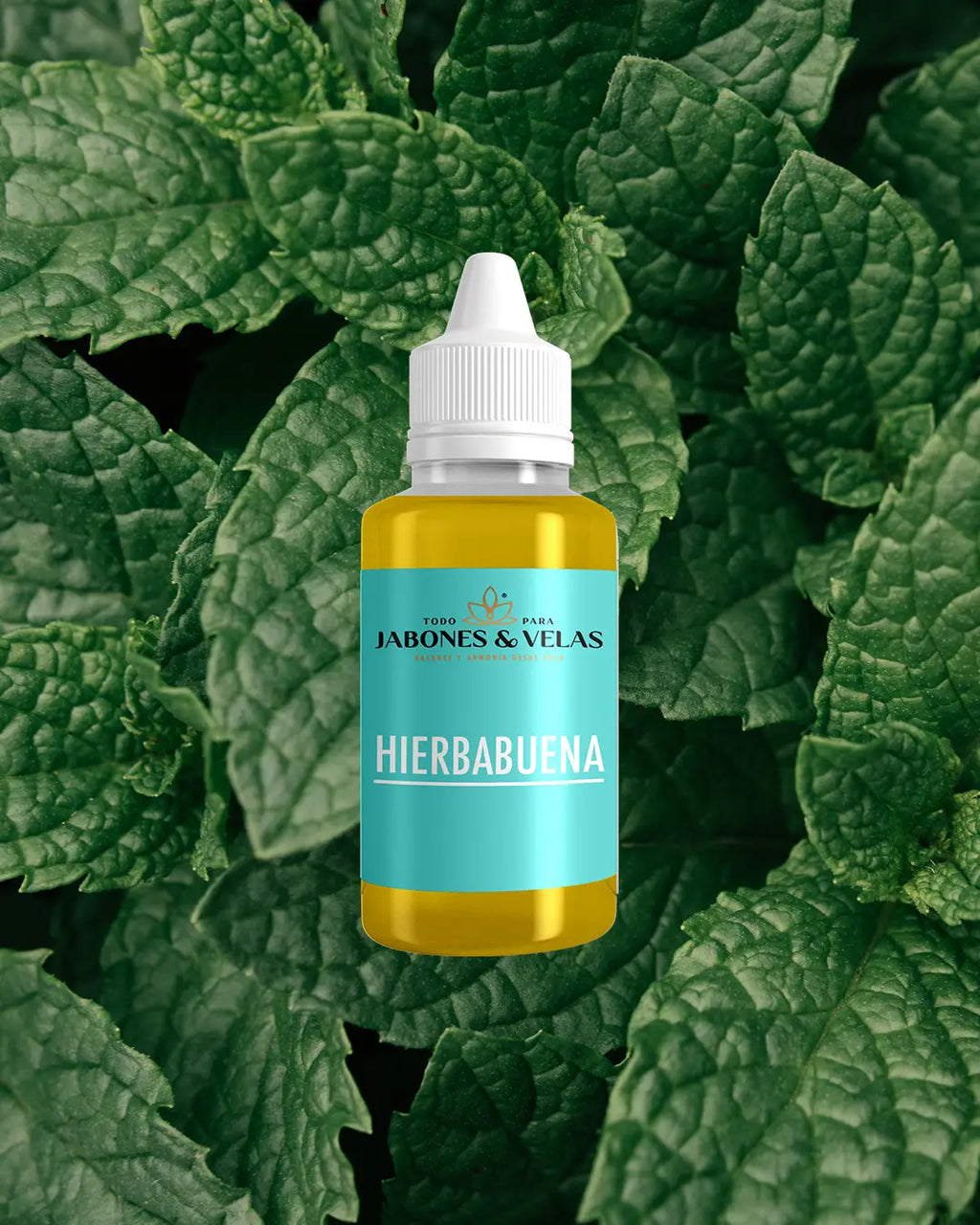 Fragancias termorresistentes para velas