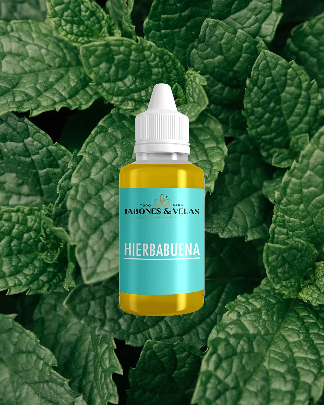 Fragancias termorresistentes para velas