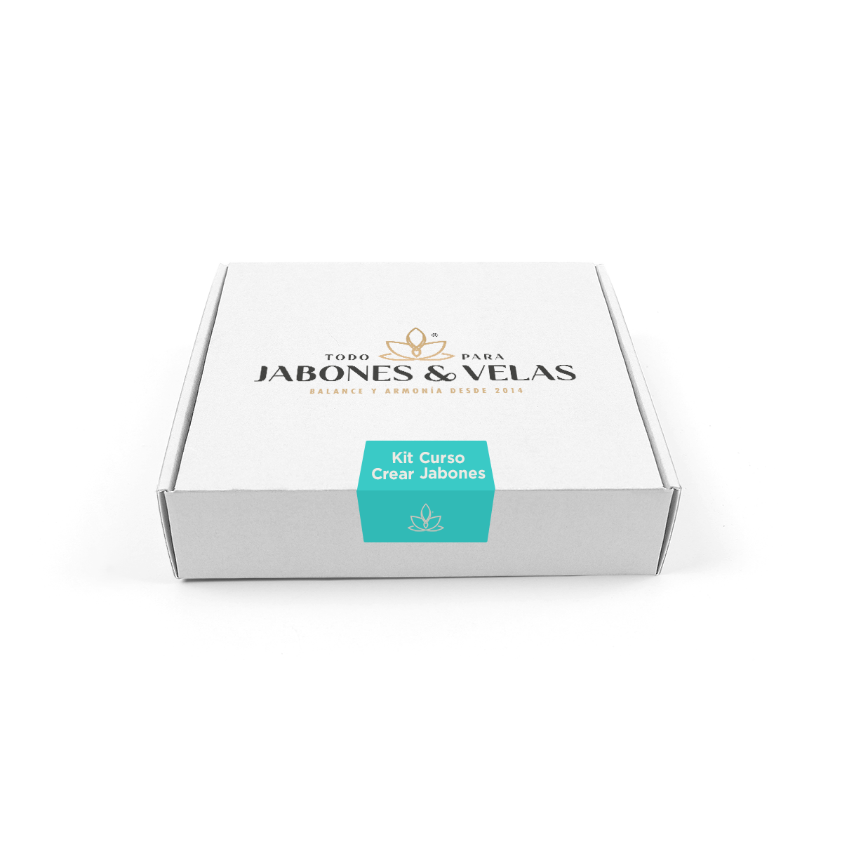 Kit Jabones Base Glicerina con manual impreso