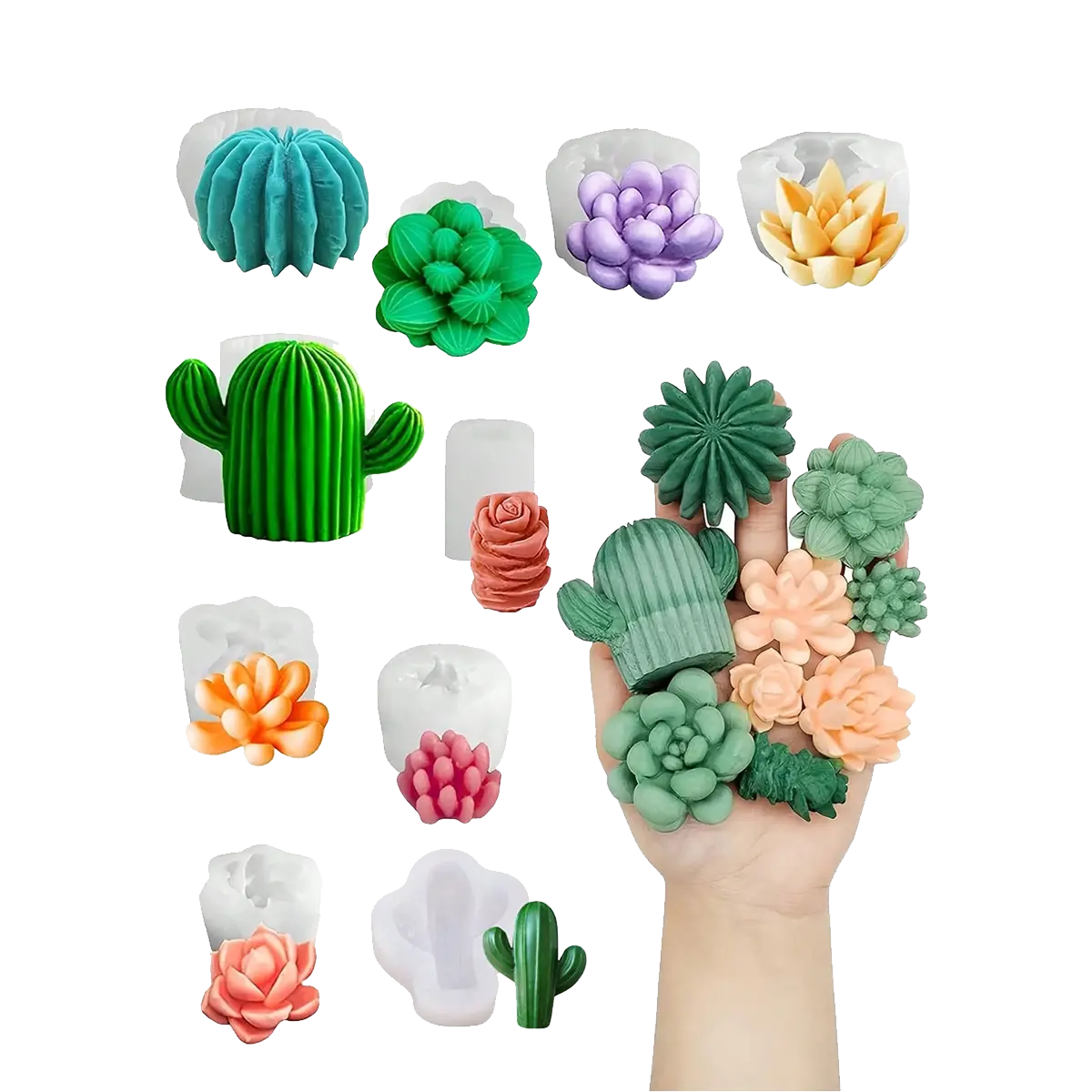 Molde Silicón 3D - Set de 10 cactus y suculentas